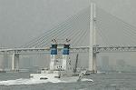Dcim2666/DSC_0133