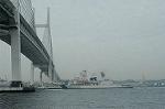Dcim2667/DSC_7248