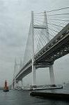 Dcim2667/DSC_7265