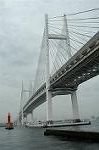 Dcim2667/DSC_7266