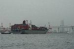 Dcim2667/DSC_7331