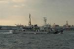 Dcim2667/DSC_7372