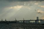 Dcim2667/DSC_7379