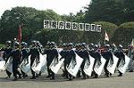 Dcim2670/DSC_0313