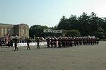 Dcim2671/DSC_0335