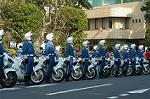 Dcim2673/DSC_7398
