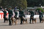 Dcim2675/DSC_3031