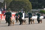 Dcim2675/DSC_3032