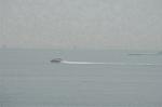 Dcim2725/DSC_3693