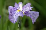 Dcim2726/DSC_3796