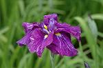 Dcim2728/DSC_4002
