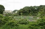 Dcim2729/DSC_4136