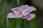 Dcim2730/DSC_4271