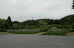 Dcim2732/DSC_4488