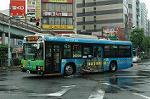 Dcim2735/DSC_4534