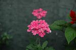 Dcim2738/DSC_4741