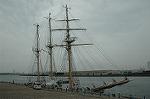 Dcim2740/DSC_5007
