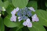 Dcim2740/DSC_5057