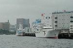 Dcim2742/DSC_8091