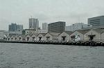 Dcim2742/DSC_8110