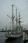 Dcim2742/DSC_8176