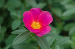 Dcim2757/DSC_6003