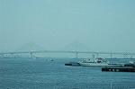 Dcim2761/DSC_6333