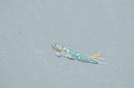 Dcim2767/DSC_6921