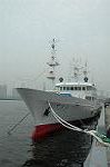 Dcim2770/DSC_7238