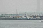 Dcim2779/DSC_7979