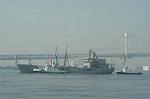 Dcim2852/DSC_9590