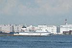Dcim2869/DSC_1333