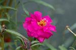 Dcim2876/DSC_4404