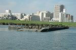 Dcim2920/DSC_7162