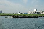 Dcim2920/DSC_7168