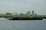 Dcim2920/DSC_7172