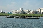 Dcim2920/DSC_7177