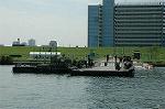 Dcim2922/DSC_7334