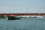 Dcim2922/DSC_7339