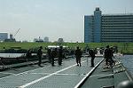 Dcim2922/DSC_7374