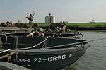 Dcim2926/DSC_7847