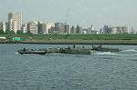 Dcim2928/DSC_8019