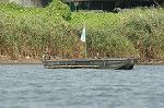 Dcim2929/DSC_2156
