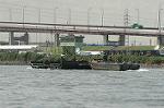Dcim2929/DSC_2158