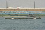 Dcim2931/DSC_2319