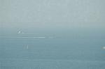Dcim2949/DSC_9016
