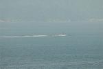 Dcim2950/DSC_5657