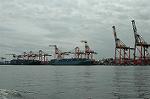 Dcim2951/DSC_9119