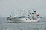Dcim2951/DSC_9161
