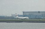 Dcim2952/DSC_9212